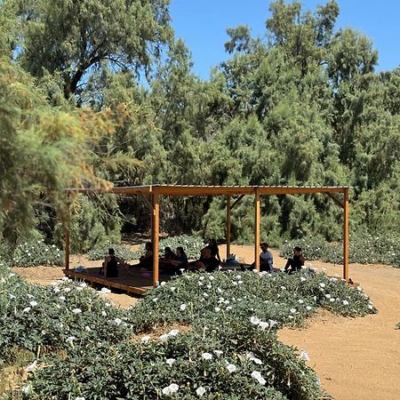 Rancho Dominique فالي دي جوادالوبي المظهر الخارجي الصورة